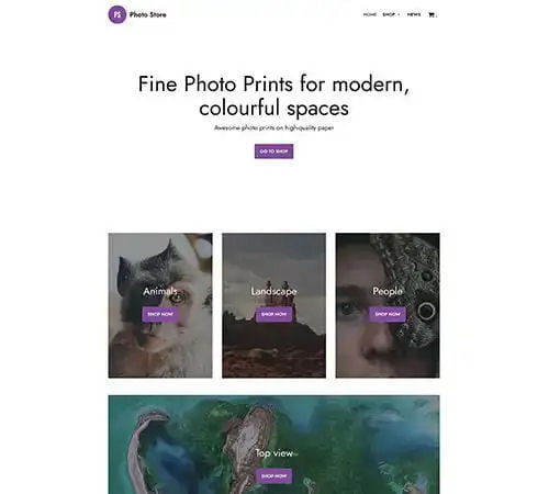 e-Commerce Website Design